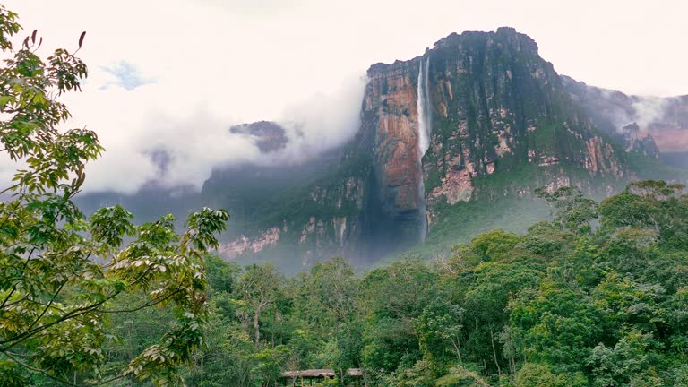 Venezuela Movistar eSIM